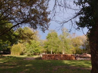  Idealer Rahmen zum Reiten 